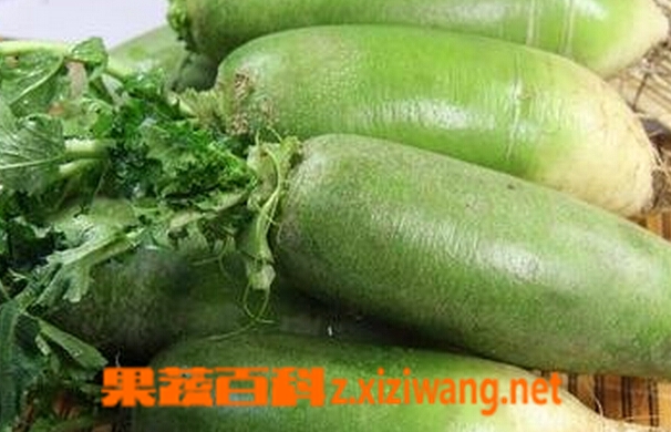 富硒蔬菜市?。ㄊ卟烁晃谐≡谀睦铮?硒宝网
