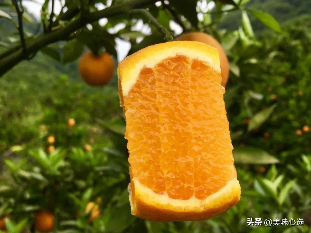 富硒爆汁蔬菜