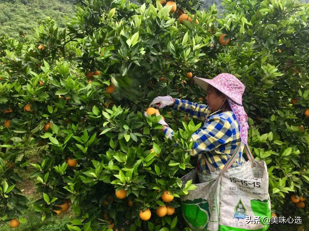 富硒爆汁蔬菜