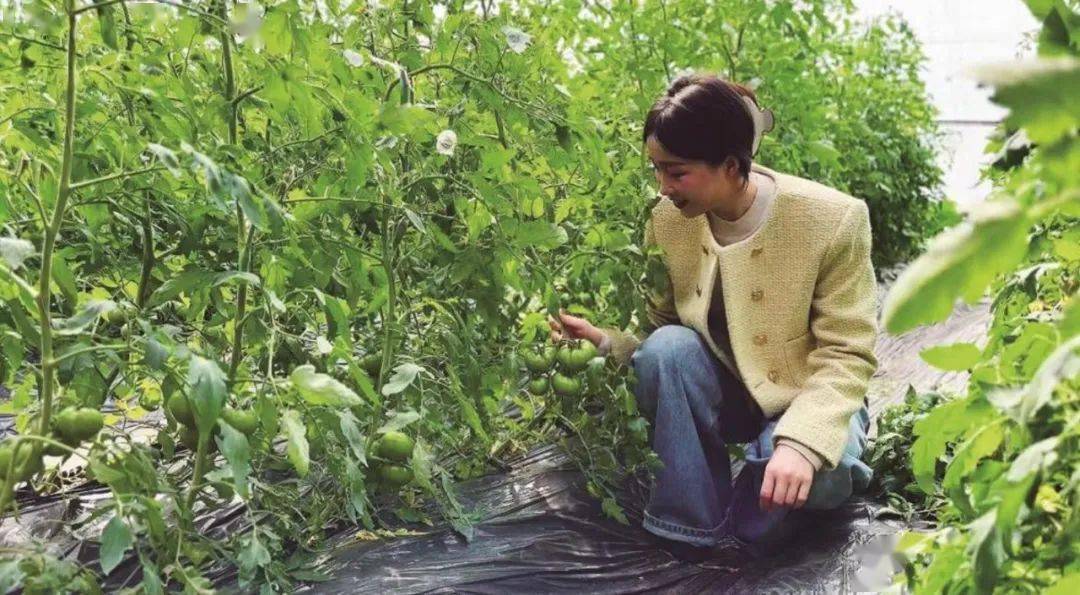 吉林富硒水果(吉林富硒大米)-硒宝网