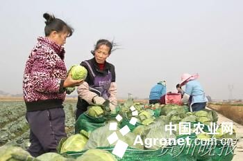 福特汽车产地