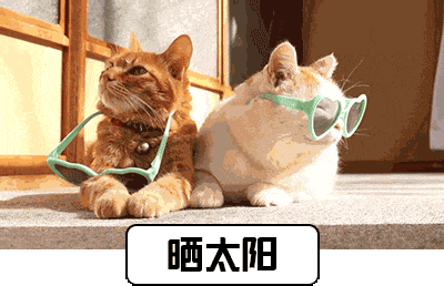 大骨汤补钙效果怎么样