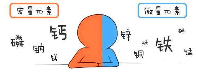 测微量元素要多少钱