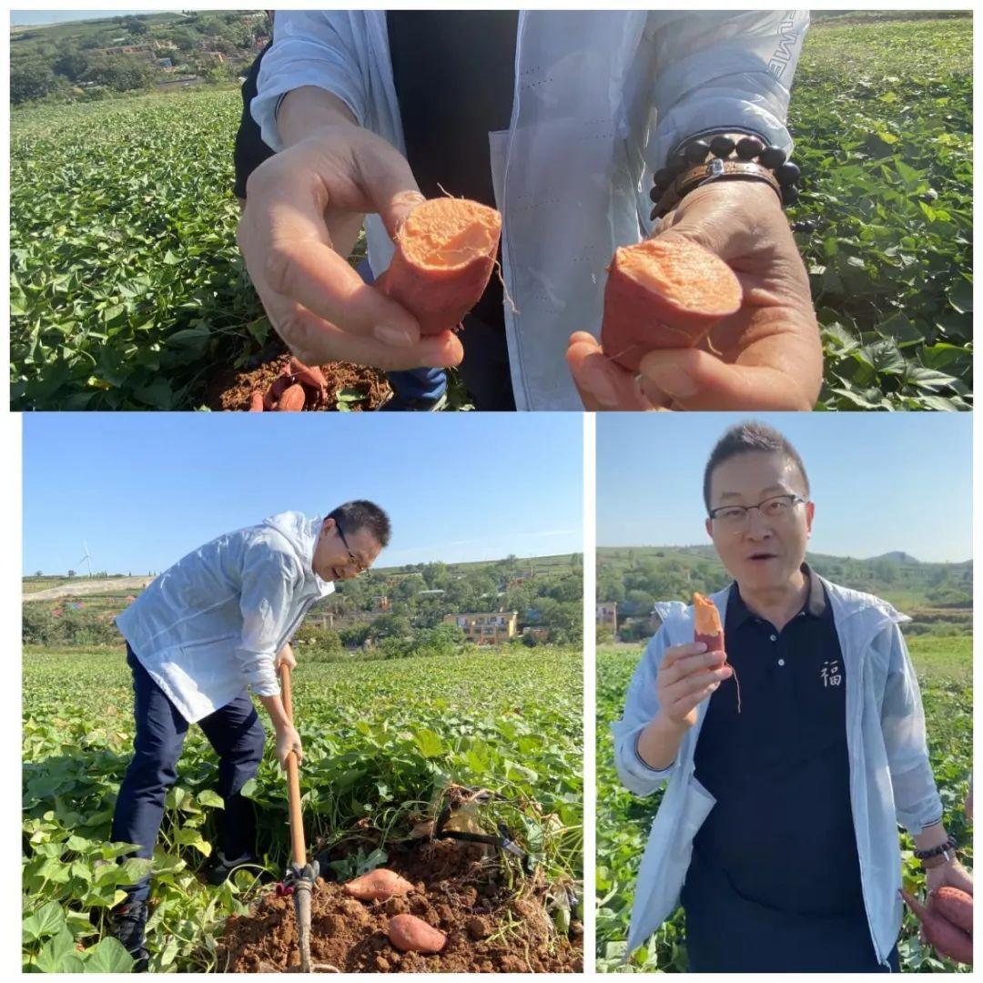 洛阳富硒水果