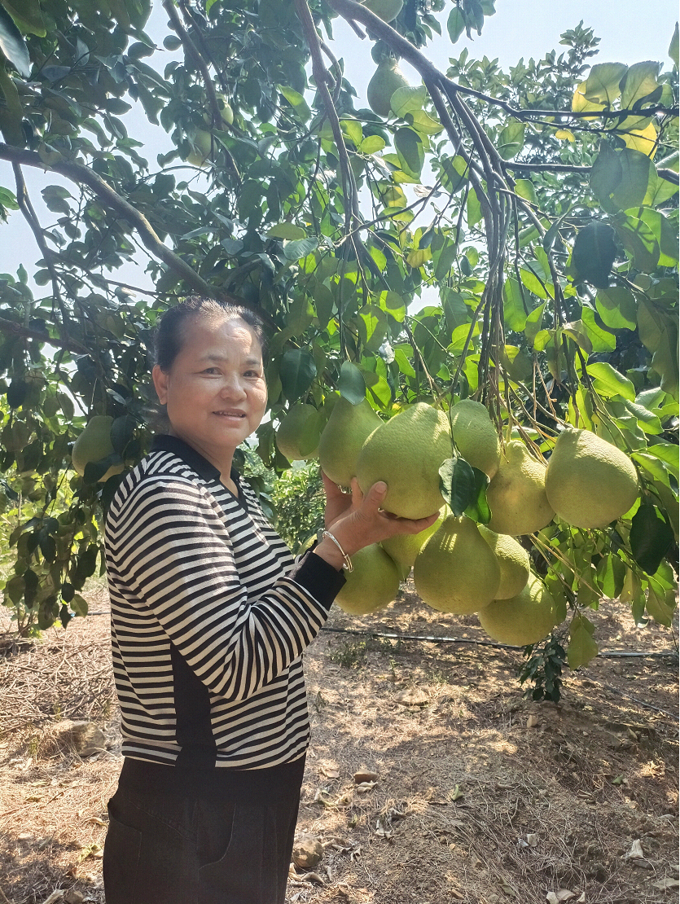 新鲜富硒水果