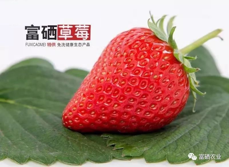 富硒皇后水果