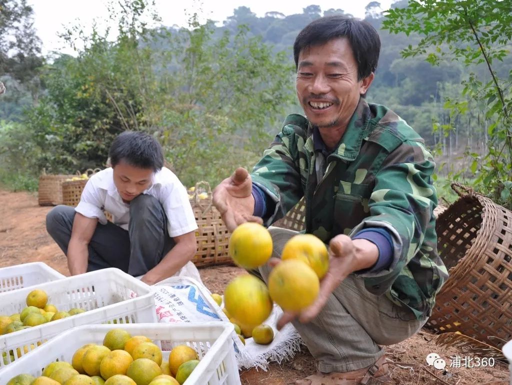 国外富硒水果