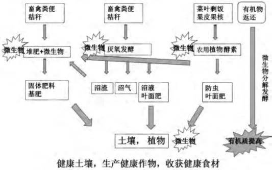 水果酵素富硒