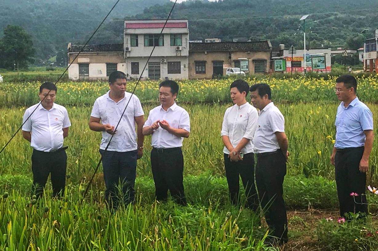 湘潭富硒水果