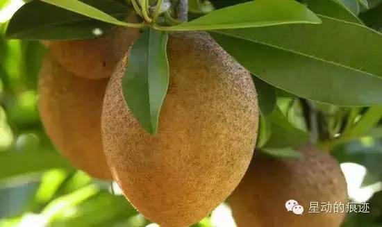 文昌富硒水果