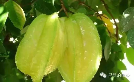 文昌富硒水果