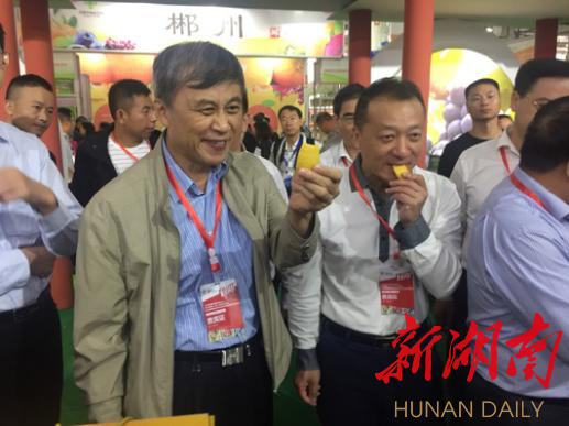 湘潭富硒水果
