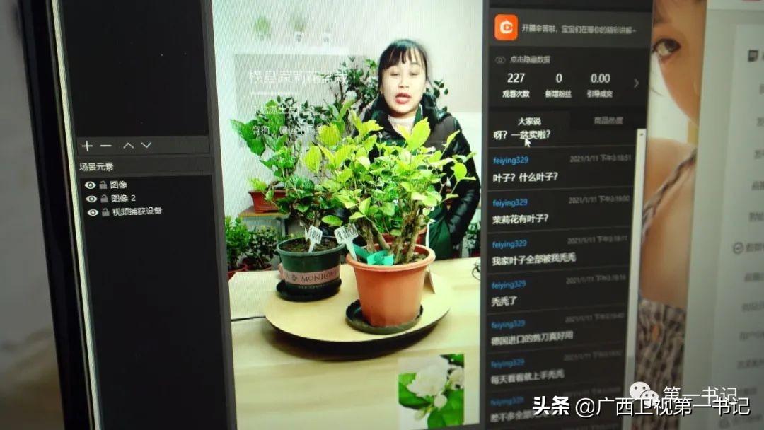富硒水果玉米