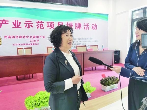 在授牌会上，李艳平谈富硒产业的未来。