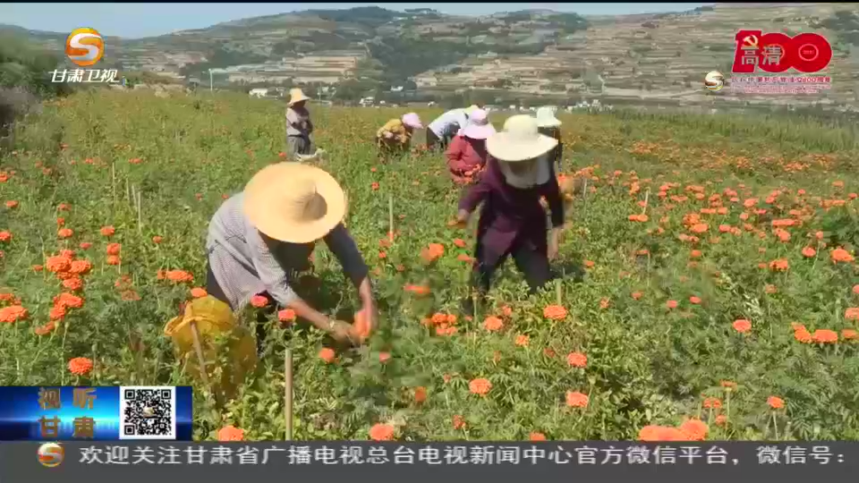 陇南富硒水果