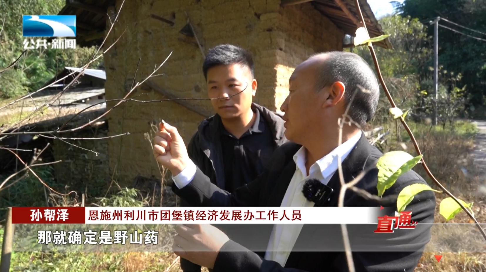 不含硒的产品
