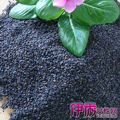 吃黑芝麻能补钙吗
