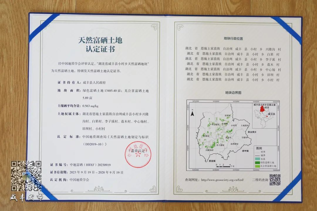硒产品的未来