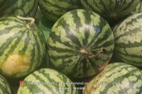硒产品的标志