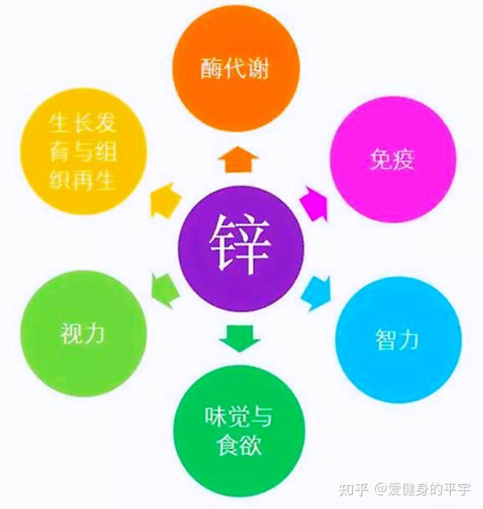 男人补锌