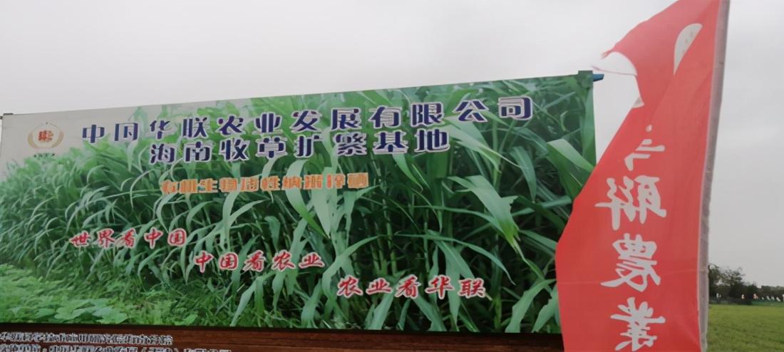 锌硒产品推荐