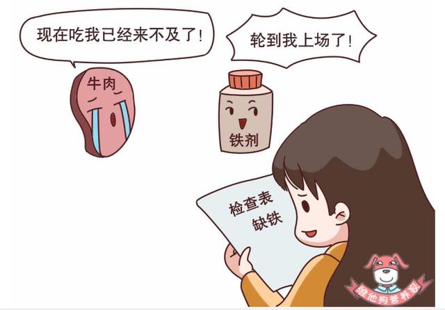 补铁的药物有哪些