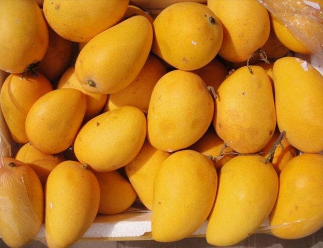 硒弹液肽产品(硒弹液肽哪个品牌好)-硒宝网