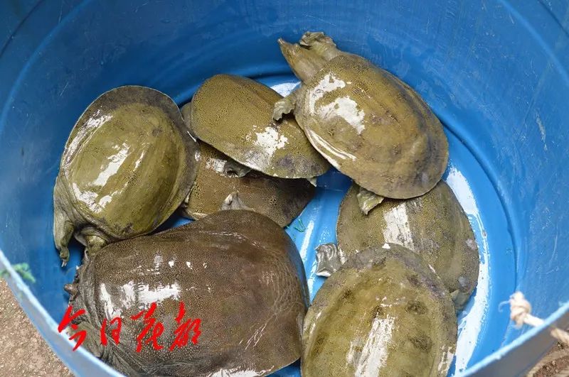硒味道农产品
