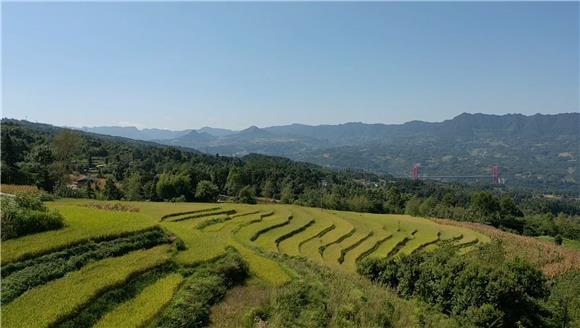 硒农产品市?。ǜ晃┎肥谐⌒枨螅?硒宝网