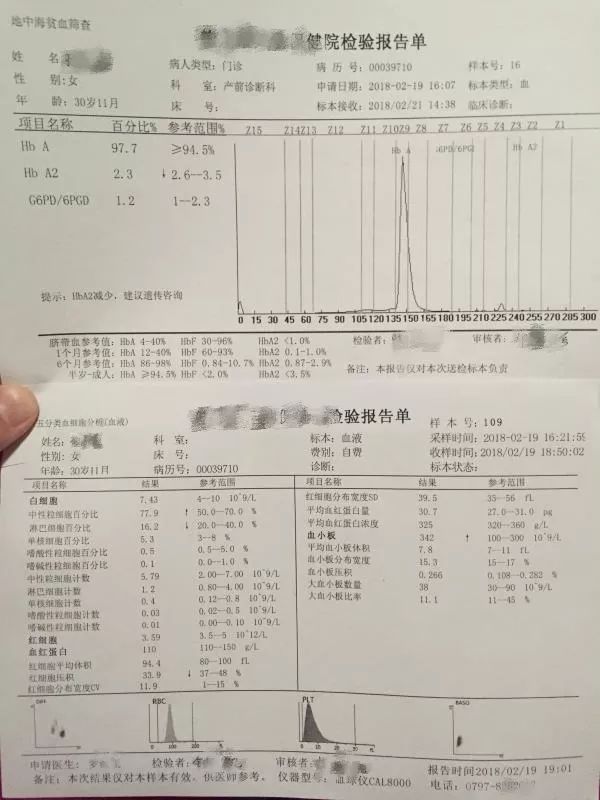 贫血需要补铁吗