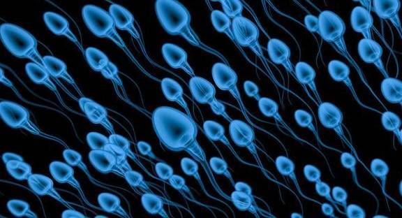 锌硒宝治早泄(锌硒宝治什么)-硒宝网