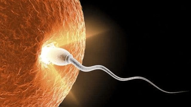 锌硒宝治早泄(锌硒宝治什么)-硒宝网