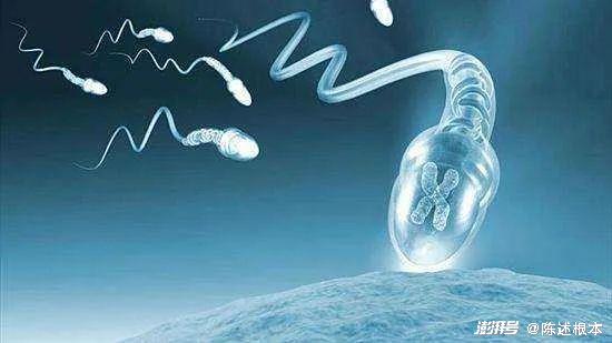 锌硒宝治早泄(锌硒宝治什么)-硒宝网