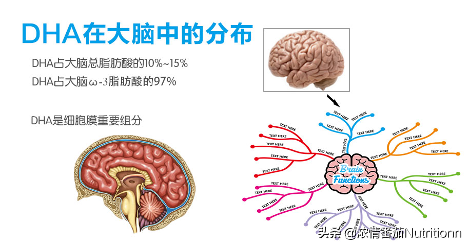 婴儿多大开始补钙