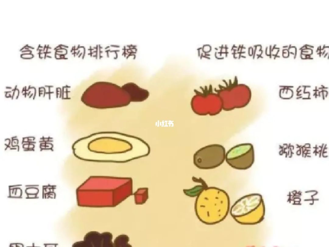吃什么能补铁