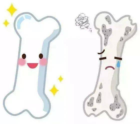 正确的补钙方法(补钙的正确方法)-硒宝网