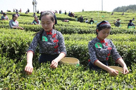 走进中国富硒第一村，村民怎么吃都不胖个个长寿，别名无癌村