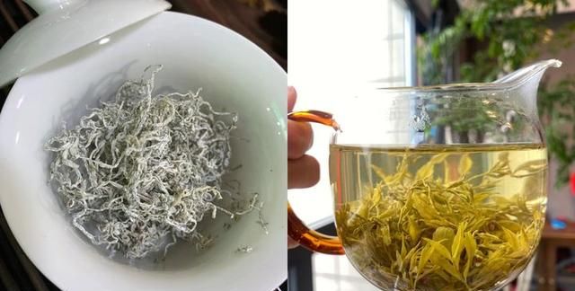 喝藤茶有哪些好处？在哪能买到正宗来凤藤茶？