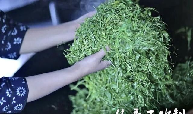 喝藤茶有哪些好处？在哪能买到正宗来凤藤茶？