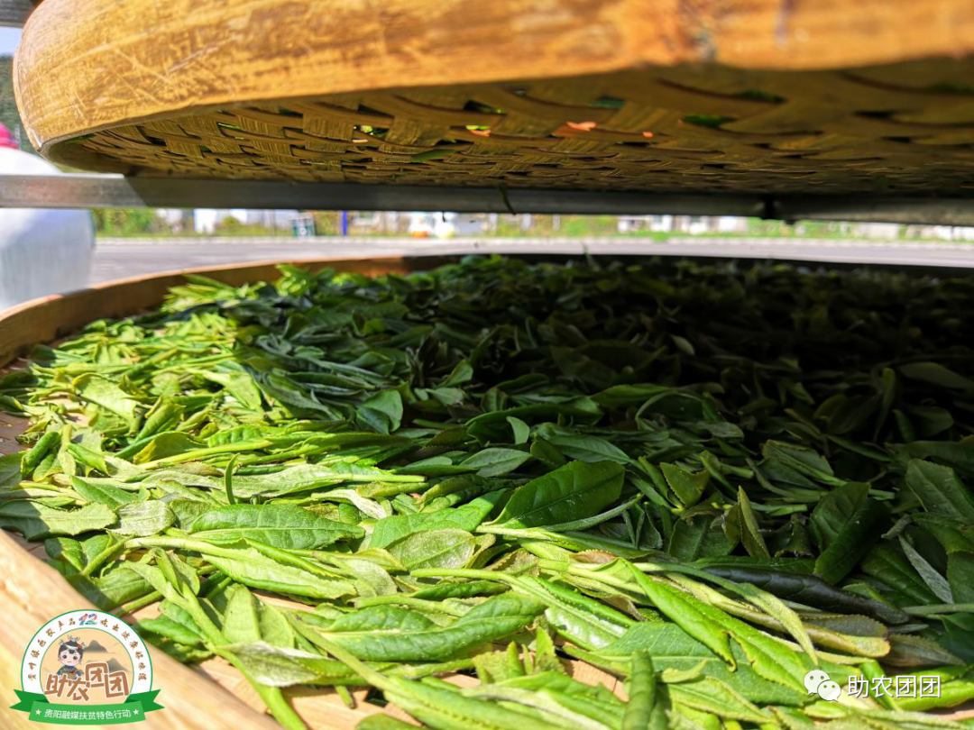 富硒茶的含硒量