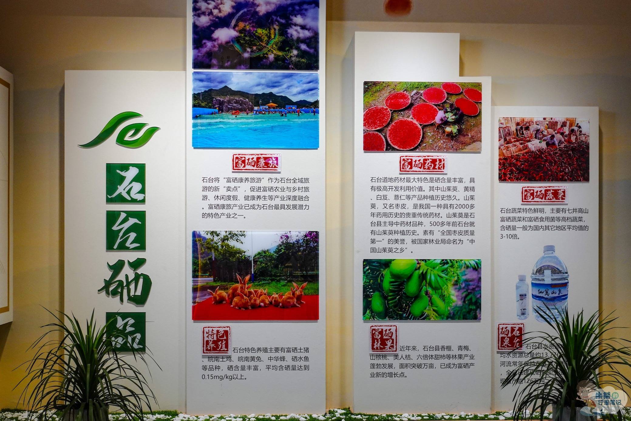石台富硒野生茶