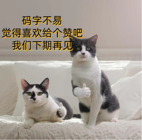 牛乳钙和碳酸钙哪个补钙效果好