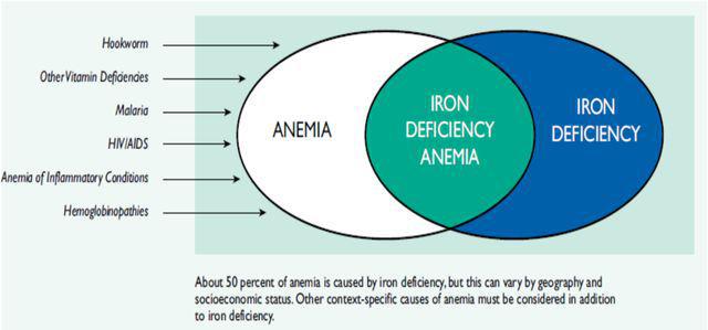 孕期什么时候补铁(怀孕期间补铁)-硒宝网