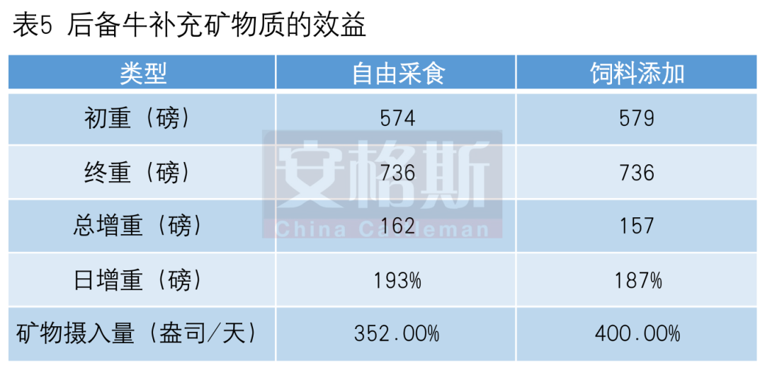 母牛缺硒怎么补(牛缺硒会引起什么?。?硒宝网