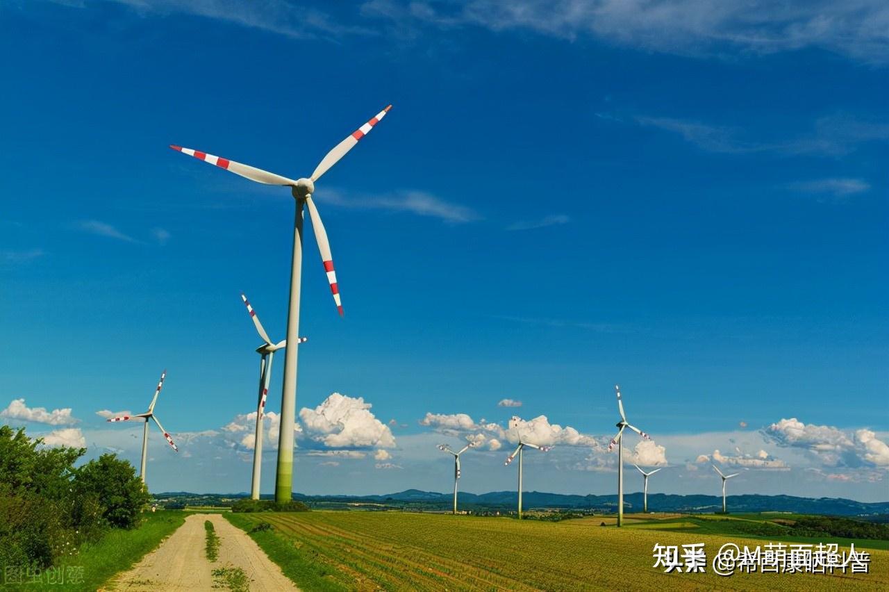 补硒的重要原因是什么(补硒的作用是什么)人为什么要补硒  第2张