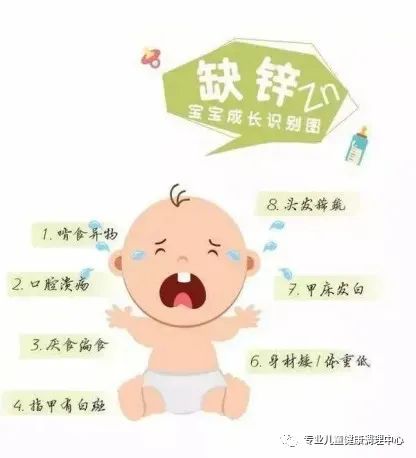 吃什么东西补锌