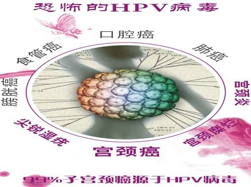 hiv补硒多少