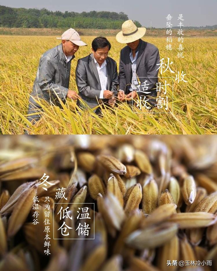 富硒康能补硒吗