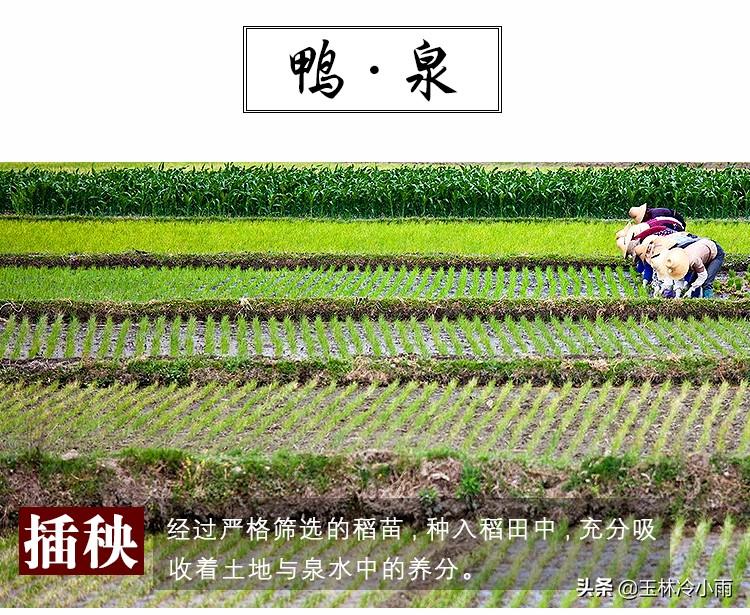 富硒康能补硒吗