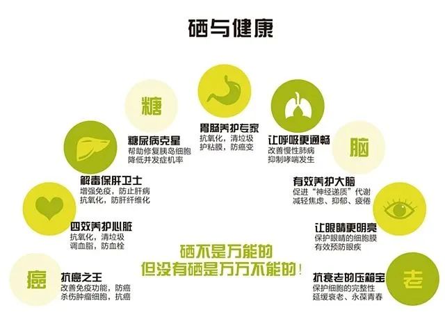 乙肝 补硒 量